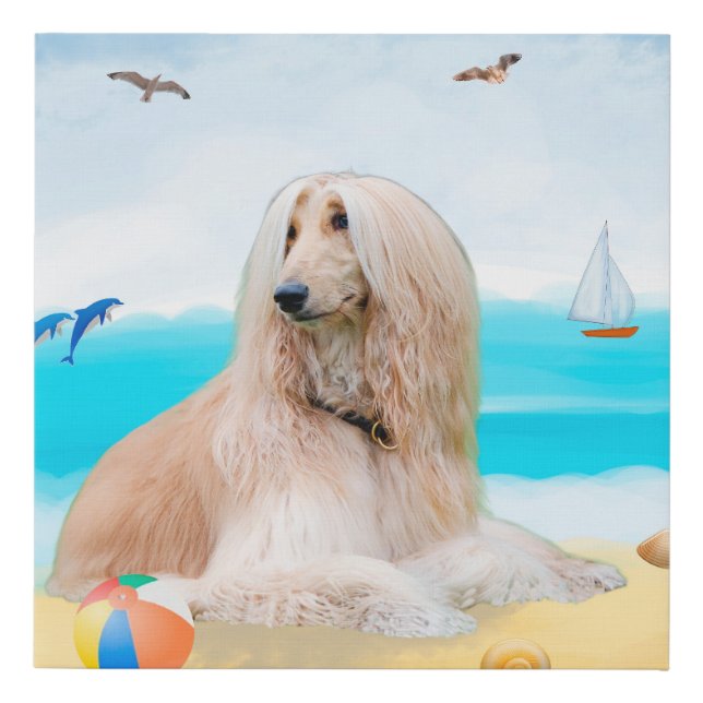 Afghan Hound Dog on Beach Faux Canvas Print (Front)