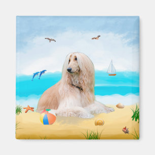 Afghan Hound Dog on Beach Magnet