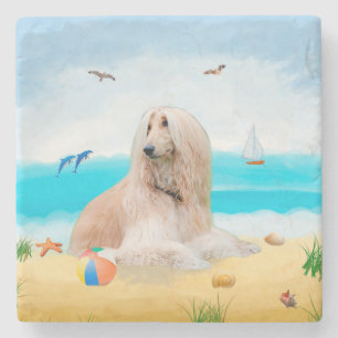 Afghan Hound Dog on Beach Stone Coaster