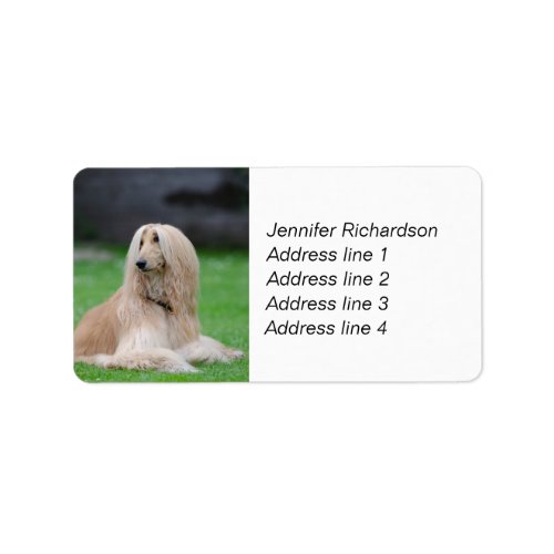 Afghan Hound dog personalize custom  Label