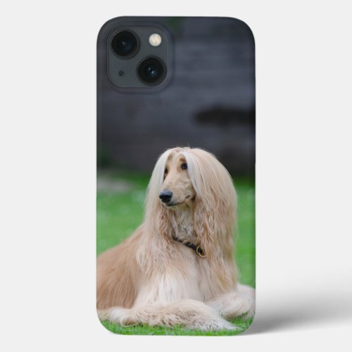 Afghan Hound dog photo Samsung Galaxy Note 4 case