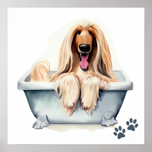 Afghan Hound Dog Poster