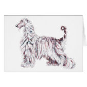 Afghan Hound Elegance (Front Horizontal)