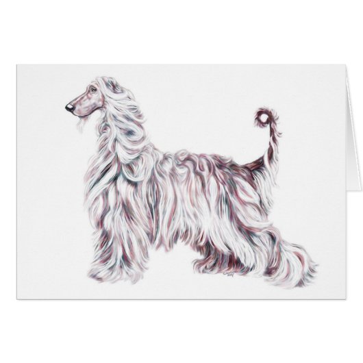 Afghan Hound Elegance Cards (Front Horizontal)