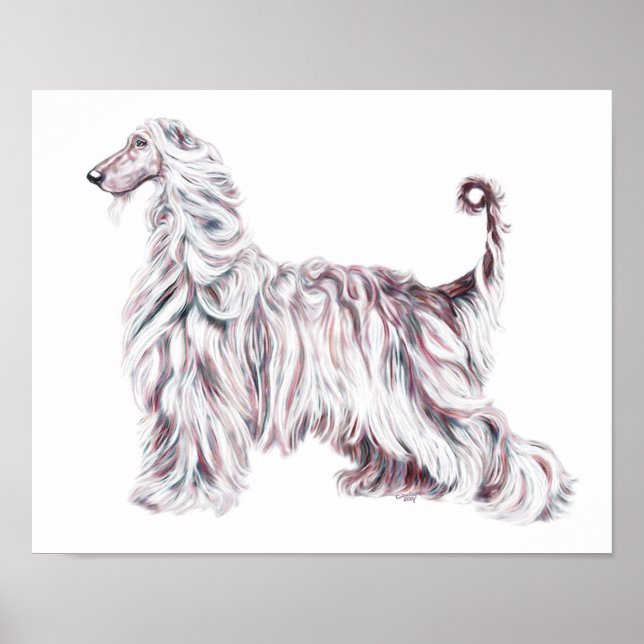 Afghan Hound Elegance Poster (Front)