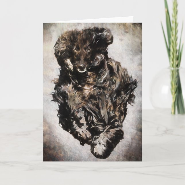 Afghan Hound Greeting Cards (Front)