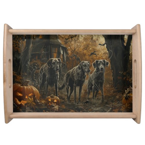 Afghan Hound Halloween Night Doggy Delight  Serving Tray