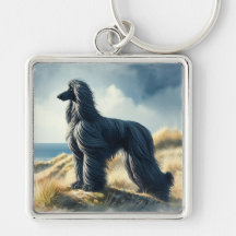 Afghan Hound
