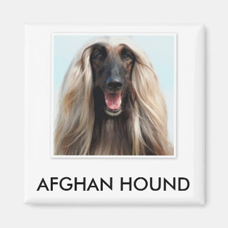 Afghan Hound Magnet