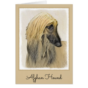 Afghan Hound Painting - Cute Original Dog Art Cards