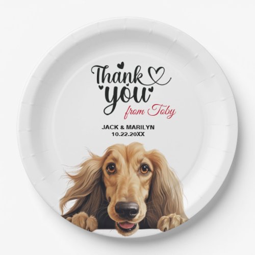 Afghan Hound Paper Plates
