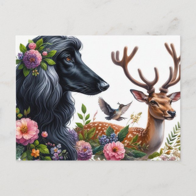 Afghan Hound Postcard (Front)