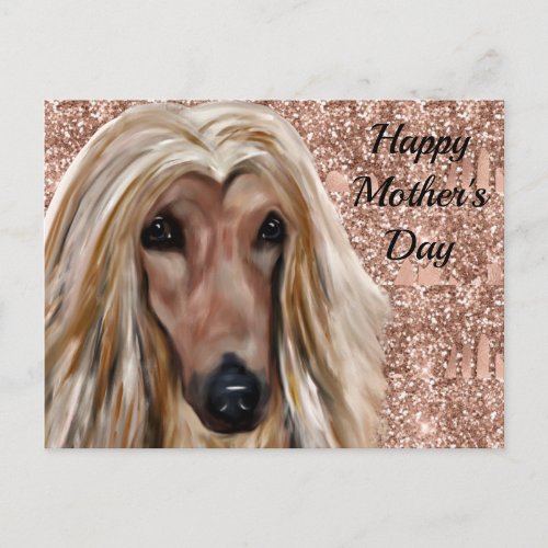 AFGHAN HOUND   POSTCARD