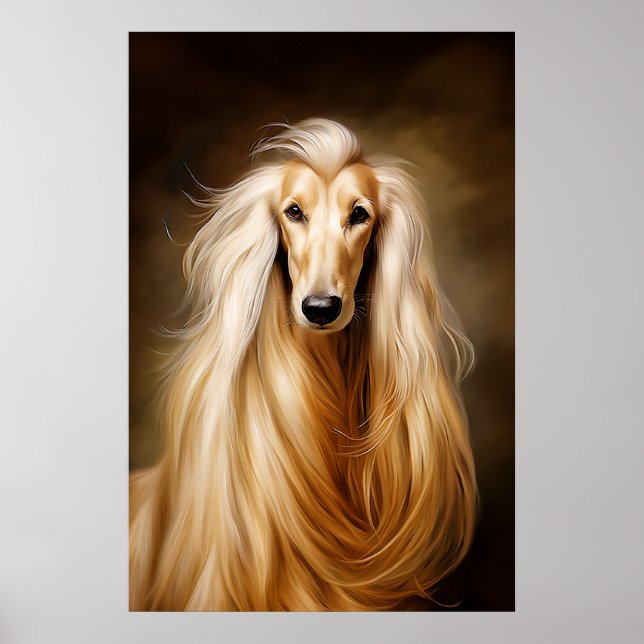 Afghan Hound Poster (Front)