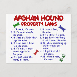 Afghan Hound Property Laws 2 Postcard