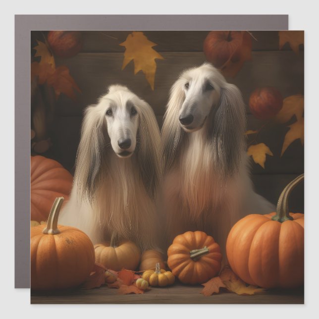afghan hound Puppy Autumn Delight Pumpkin Car Magnet (Front)