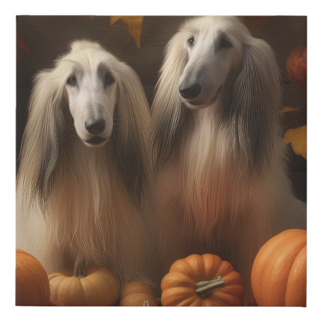 afghan hound Puppy Autumn Delight Pumpkin Faux Canvas Print (Front)