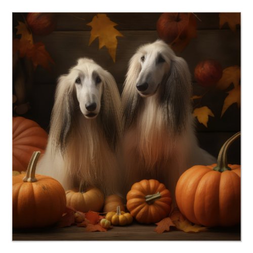 afghan hound Puppy Autumn Delight Pumpkin Poster