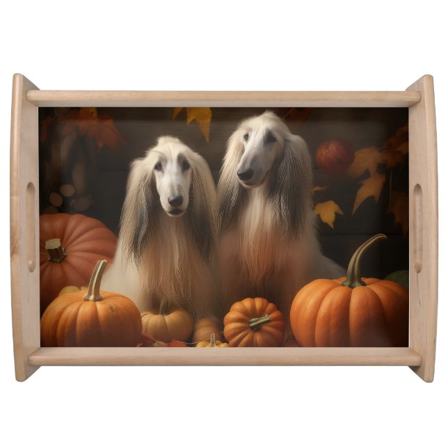 afghan hound Puppy Autumn Delight Pumpkin Serving Tray (Front)