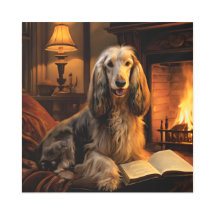 Afghan Hound Reading a Book Vintage