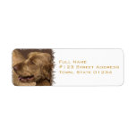 Afghan Hound Return Address Label