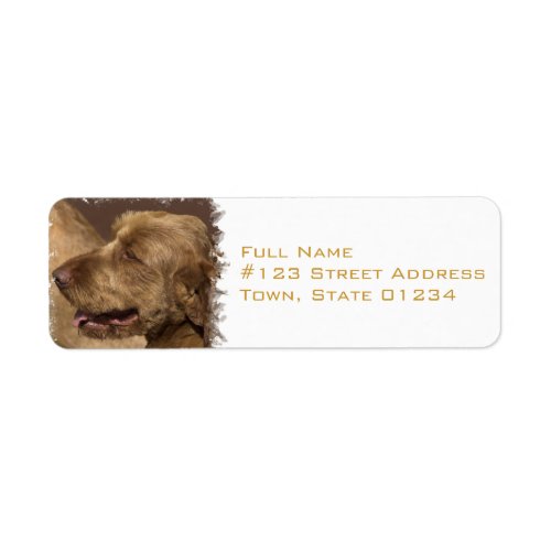 Afghan Hound Return Address Label