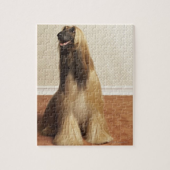Afghan hound sitting in room 2 jigsaw puzzle (Vertical)