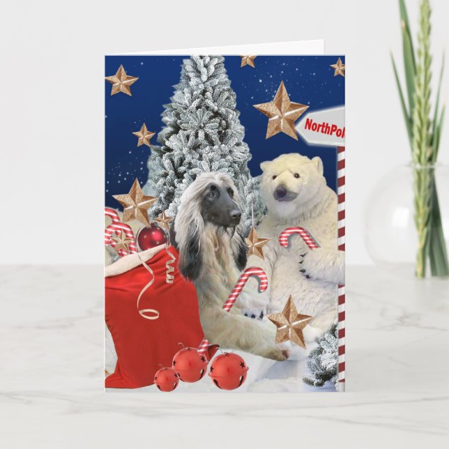 Afghan Hound Visits Polar Bear At North Pole Cards (Front)