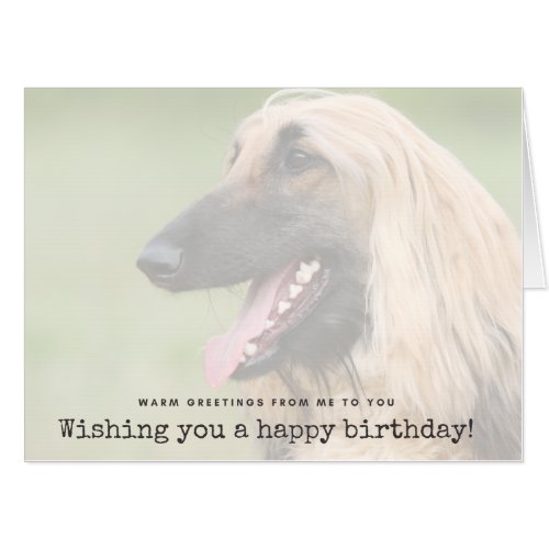 Afghan Hound _ Warm greetings from me to you Card