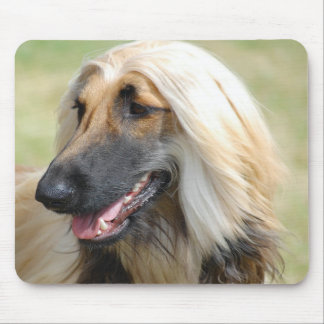 Afghan HoundPuppy Dog Mouse Pad
