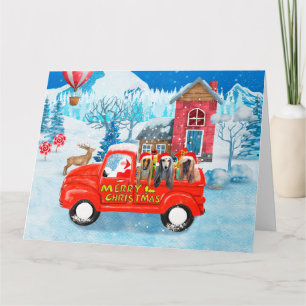 Afghan Hounds Dog in Christmas Delivery Truck Snow Card
