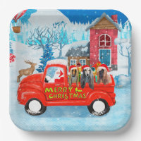 Afghan Hounds Dog in Christmas Delivery Truck Snow