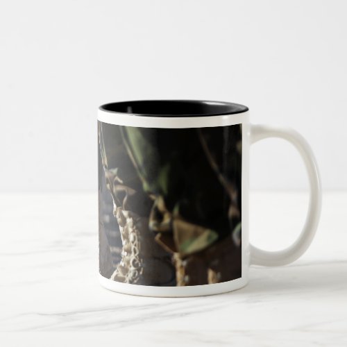 Afghan National Army Air Corp Soldiers Two_Tone Coffee Mug