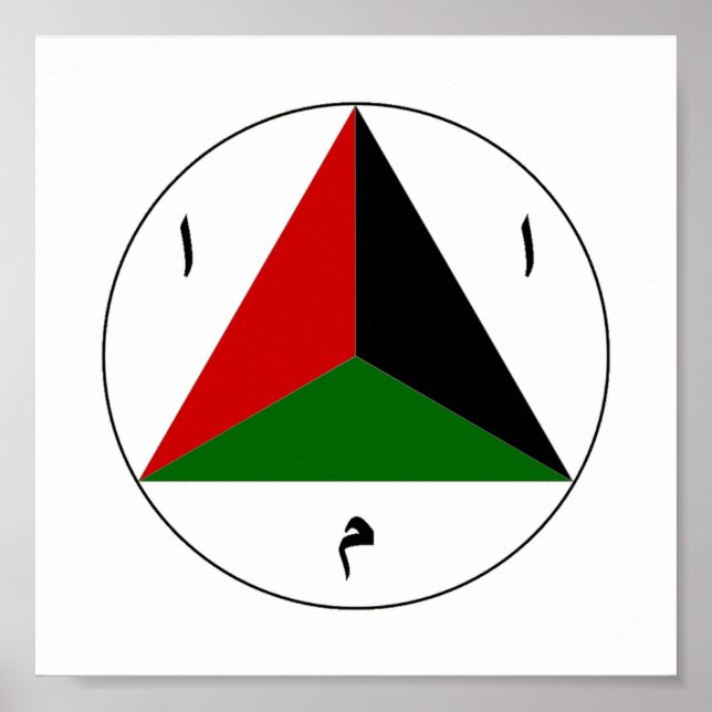 Afghan National Army Air Force Roundel Poster (Front)