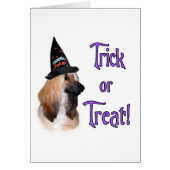 Afghan Trick (Front)