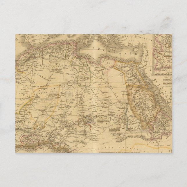 Africa 14 postcard (Front)