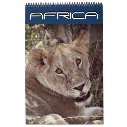africa 15 month calendar