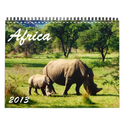 africa 2013 calendar