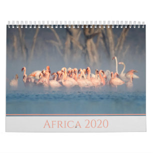 Africa 2020  Wildlife Calendar