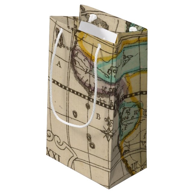 Africa 2 small gift bag (Back Angled)