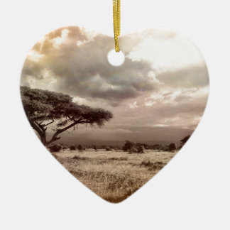 africa-944-land-wild-nature ceramic ornament