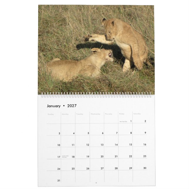 AFRICA - A Million Animals Calendar 2014 (Two-Page (Jan 2027)