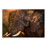 Africa-Ancient Giants Art Poster/Print Poster