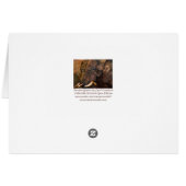 Africa - Ancient Giants ArtCard (Back Horizontal)