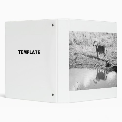 Africa _ Black and White _ Lion Reflection 3 Ring Binder