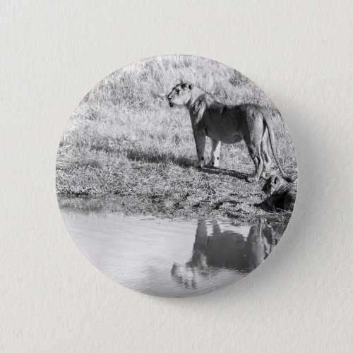 Africa _ Black and White _ Lion Reflection Button