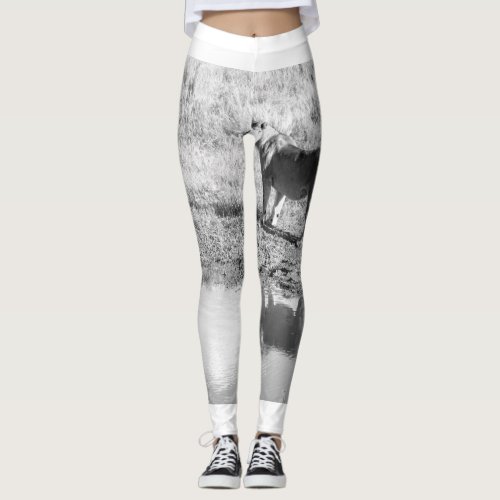 Africa _ Black and White _ Lion Reflection Leggings