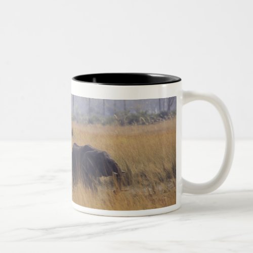 AFRICA Botswana African Elephant Two_Tone Coffee Mug