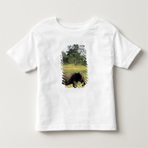 Africa Botswana Chobe National Park Elephant Toddler T_shirt