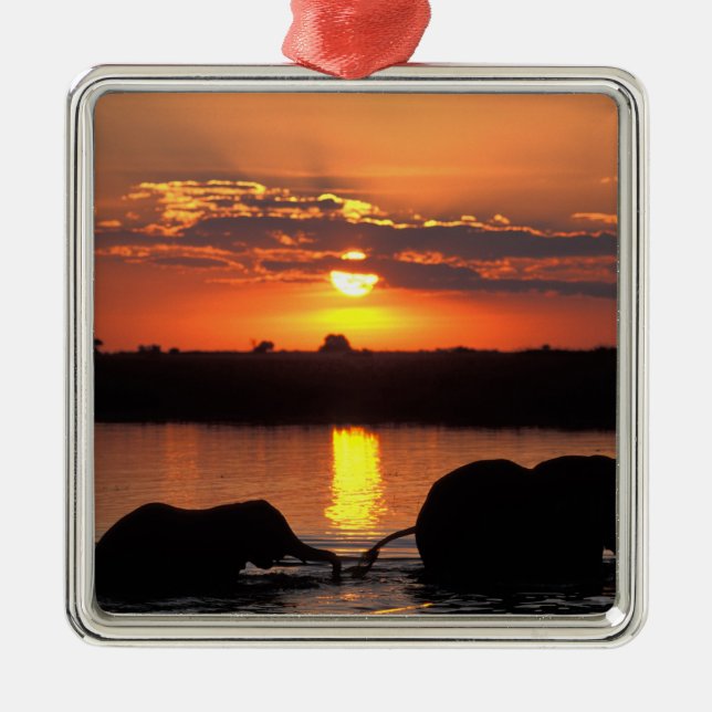 Africa, Botswana, Chobe National Park, Herd Metal Ornament (Front)